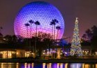 Tickets Now Open for Disney World's New 2023 Holiday Line Up: Here's What Each Park Is Offering This Holiday Season
