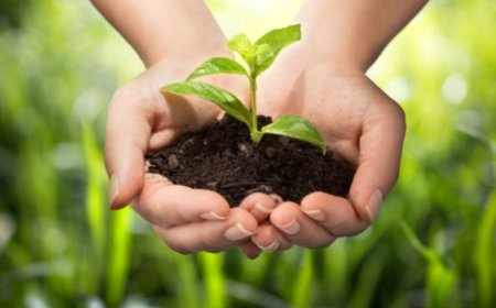 Environment and Lifestyle