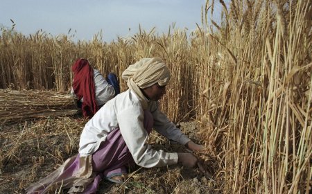 The Impact of the War in Ukraine on the Indian  Economy