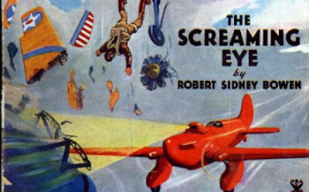 Battle Birds was an American pulp magazine about air warfare