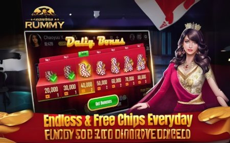 Rummy Circle The Ultimate Destination for Online Rummy Lovers